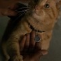 영화 캡틴마블 쿠키영상 2개 고양이구스 후기
