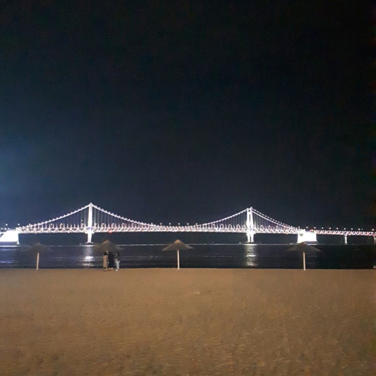 190308~190310(부제 : 아주 멋진 즉흥 부산여행) : 네이버 블로그