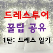 [정보] 드레스투어 전 알아야 할 드레스 스타일과 소재 총정리 (feat.연예인 웨딩드레스)