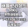 [배그]배틀그라운드 PKL중계일정 Phase1 1~4주차 중간점수