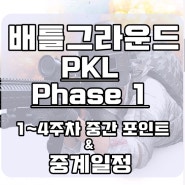 [배그]배틀그라운드 PKL중계일정 Phase1 1~4주차 중간점수