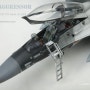1/32 F-16D AGGRESSOR