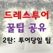 [정보] 드레스투어 꿀팁 2탄! 투어 전 알아야 할 투어 당일 꿀팁