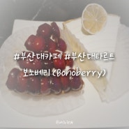 부산대 카페/타르트 맛집_보노베리(Bonoberry)
