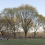 [01] 나무가 춤추는 올림픽공원... ( 안명준 )