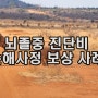 뇌졸중 진단비 손해사정 보상 사례