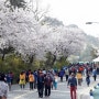 2019 유달산 봄 축제(4/6~20)