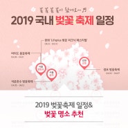 2019 벚꽃축제 일정 & 벚꽃 명소 추천