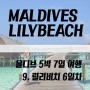 몰디브 신혼여행 :: 릴리비치 6일차 (바이브바, 안녕 몰디브)