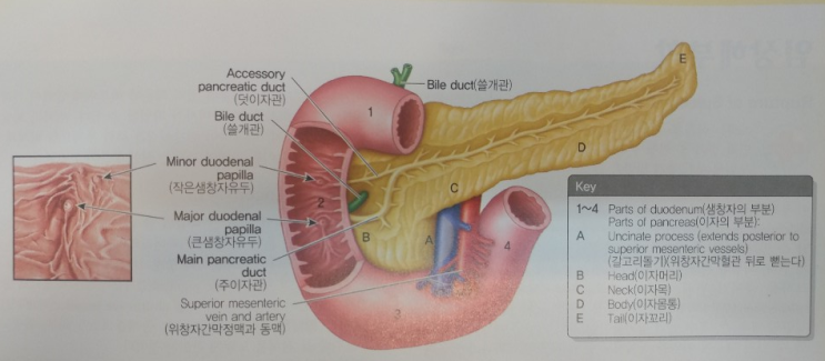 ì·Œìž¥ì•