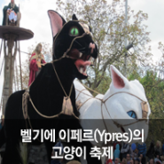 [팬시피스트_캣 토픽] 벨기에 이페르(Ypres)의 고양이 축제