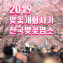 2019 벚꽃 개화시기 전국 벚꽃명소, 벚꽃축제 추천