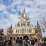 일본 최대 테마파크 도쿄 디즈니랜드 즐기기