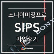 소니 SIPS 자격조건과 가입후기 & 스트랩리뷰