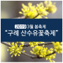 3월봄축제 소개 - 구례 산수유꽃축제