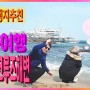 2019 국내여행 추전 강릉 정동진 썬크루즈호텔 썬크루즈해변 겨울바다 낭만여행 영상!