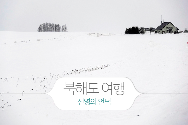 북해도 여행, 신영의 언덕과 치요다 팜 레스토랑
