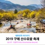 2019 구례산수유꽃 축제 - 상위마을, 반곡마을