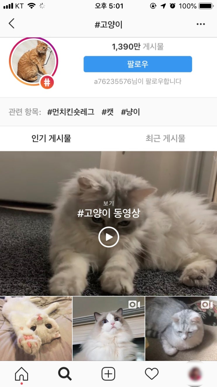 인스타그램 인기게시물 노출 방법과 효과 TIP : 네이버 블로그
