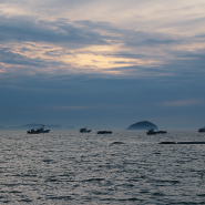 분위기 좋은 가족여행 궁평항 해산물 바다낚시 즐기는 제부도 가는 길 궁평항
