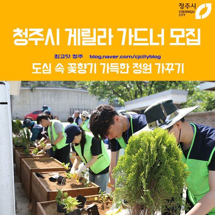 도심 속 꽃향기 가득한 정원 가꾸기 - 청주시 게릴라 가드너 모집 : 네이버 블로그