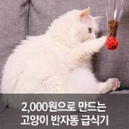 [팬시피스트_집사Talk] 2000원으로 만드는 고양이 반자동 급식기(고양이 다이어트에 찰떡)