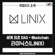 라이닉스 LINIX IEO / 세계 최초 DAG+BlockChain