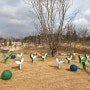 [마곡] 서울식물원