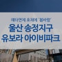 예타면제 호재에 '봄바람' 울산 송정지구 반도유보라 아이비파크