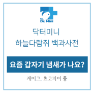 [루블리제] 과일 하늘다람쥐 냄새, 갑자기 심해졌어요?