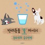 [클로펫] 강아지 고양이 물먹이기 방법, 중요성!