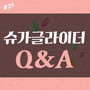 #25 슈가글라이더 Q&A 일상 궁금증 해결! [질문 댓글을 다 모아보았다!] 먹이 + 분양 + 용품 + 병원