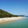 호주 자유여행 4일차 : 브리즈번 모튼섬 / 스노쿨링 / 카약 / 샌드보딩 후기!
