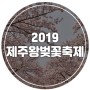 2019 제주왕벚꽃축제 일정