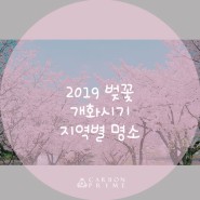 2019 벚꽃 개화시기 및 지역별 명소 추천드려요!
