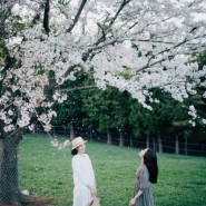남해 봄에 가볼만한곳 :: 벚꽃명소