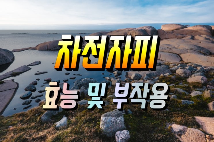 [차전자피] 효능 및 부작용_먹는법_제품고르는 팁 : 네이버 블로그