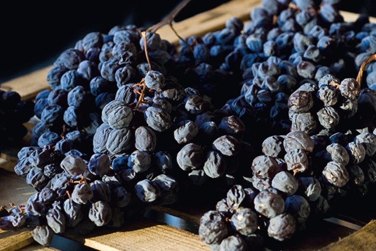아마로네 (Amarone) 와인이란? - What is Amarone wine? by Ellie Douglas, Decanter ...