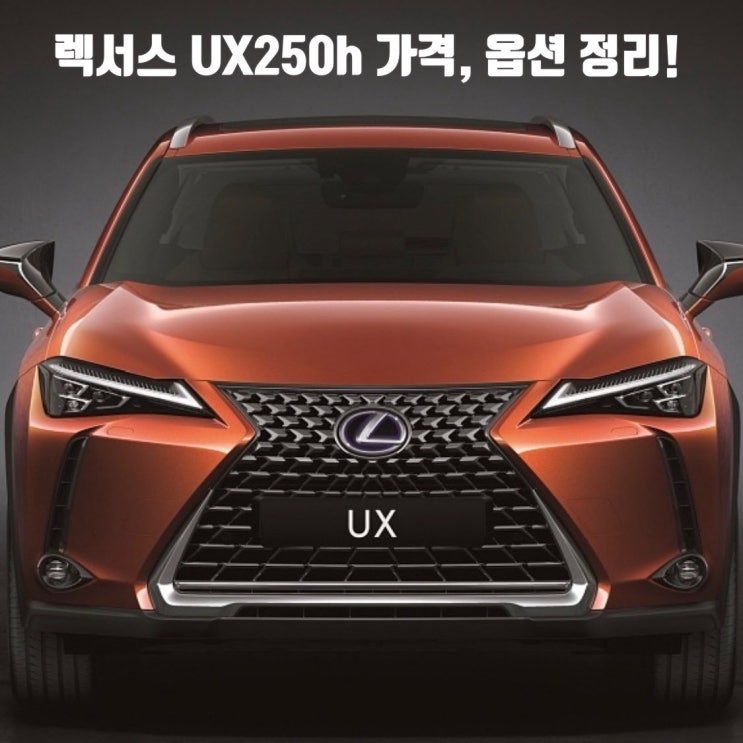 렉서스 ux250h (가격, 연비, 옵션 비교) : 네이버 블로그