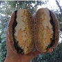 밀가루 없는 빵 만들기 - 샌드위치 밀프렙