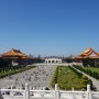 대만자유여행 3일차 중정기념당 융캉제 우육면 더그린스텝스 타이베이101타워 1973치킨