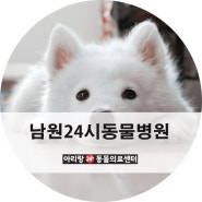 남원24시동물병원 강아지 질병에대해 알아보세요!