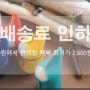 바느질처럼 핸드메이드 쇼핑몰 배송료 인하, 당일발송 안내