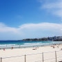 호주 시드니 본다이 비치 산책 Bondi Beach Sydney