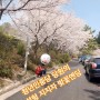 [창원 보궐선거 손석형] 벚꽃엔딩