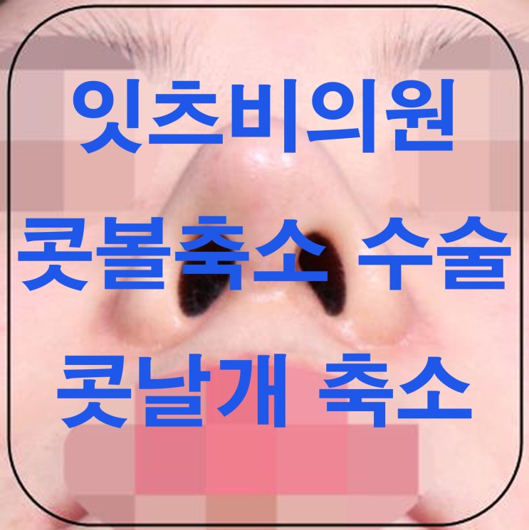 잇츠비의원의 콧볼축소 수술(콧날개 축소) 원리 및 주의할 점 : 네이버 블로그