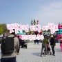 대구 이월드 벚꽃구경 놀이공원 명소