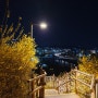 서울 야경 명소 응봉산 개나리 축제도 즐겨요.