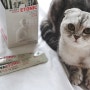 고양이츄르영양제 마이펫닥터 네바에토닉 고양이영양제