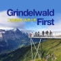 인터라겐여행, 그린델발트 가볼 만한 곳 '피르스트' 스위스 한달살기